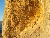 SNV80492.JPG